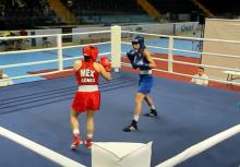 World Boxing Challenge 2025