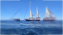 Barco 