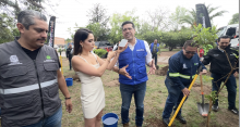 reforestación radiogrupo