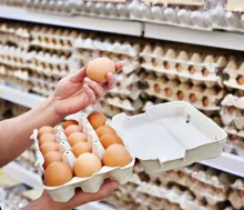 Brote de salmonella por huevos contaminados deja al menos 79 enfermos en siete estados de EE. UU.