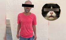 Policías Municipales lo detectaron cuando golpeaba al animal y procedieron a la detención del otro