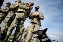 Guardia Nacional 
