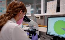 Laboratorios