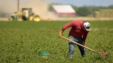 Trabajador