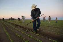 Vuelven las redadas a trabajadores del campo, hoteles y restaurantes en EE. UU.