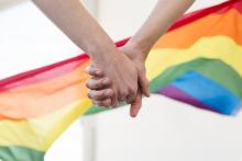 Pide PRD que diputados siglados voten en pro del matrimonio igualitario