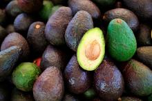 Precios del Aguacate 