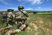 Operativo contra campamento criminal 