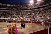 corrida