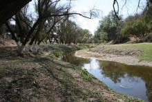 Río San Pedro