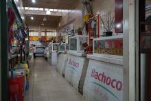 Bachoco 