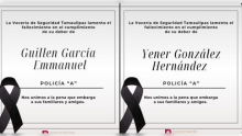 Elementos fallecidos