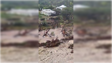 Inundaciones en Texas 