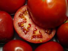 Jitomates 