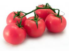 Jitomates 