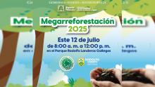 Megarreforestación 