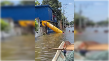 Tobogán en Tampico 