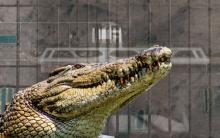Trump inaugura el 'Alligator Alcatraz', la prisión migratoria rodeada de caimanes