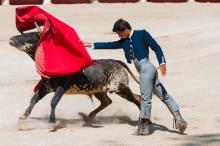 A la gente no le gustan, son inviables: Secretaría de Turismo rechaza corridas de toros sin violencia