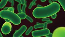 Profeco alerta por champú contaminado: podría causar infecciones