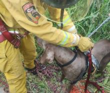 rescate