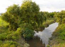 Río San Pedro