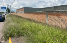 Localizan cabeza humana en Viñedos San Felipe 