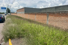 Hallazgo de cabeza humana en Viñedos San Felipe