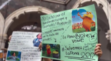 Manifestación de ambientalistas en Palacio de Gobierno 