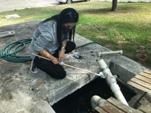 Cuidado con el dengue 