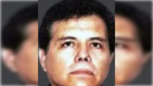 "El Mayo" Zambada 