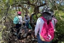 Fiscalías deben recabar indicios en campamento de Rincón; siguen en el sitió a un mes del desmantelamiento