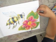 Dibujo