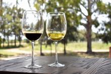 Vinos