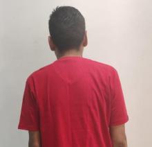 distribuidor 
