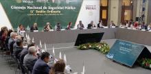 Consejo Nacional de Seguridad Pública