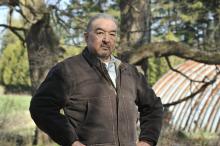 Muere Graham Greene, nominado al Óscar por 'Danza con Lobos'