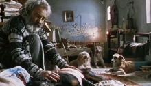 "Amores Perros" será proyectada en el Palacio de Bellas Artes