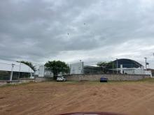Escuela Primaria Gertrudis Bocanegra