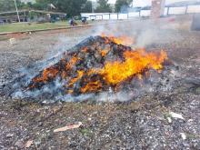 Incineración de narcóticos