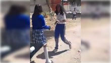 Pelea 
