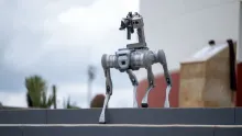Perro robot