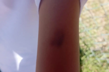 Violencia en escuela primaria de Aguascalientes 