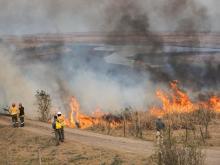 Incendios de pastizales 