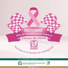 IMSS