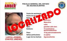 Fue sustraído por su padre biológico que no respetó la disposición de un Juez al darle la custodia a la madre