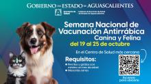 Semana Nacional Antirrábica Canina y Felina