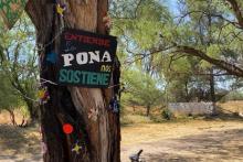 Salvemos La Pona 