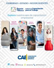 Curso de capacitación