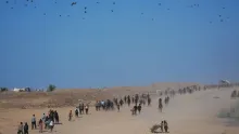 Franja de la Gaza